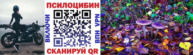 наркошоп  Пошехонье  OMG маркетплейс  Галлюциногенные грибы Cubensis 